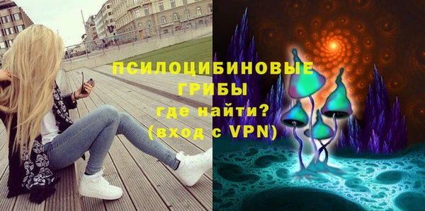 марки nbome Бородино